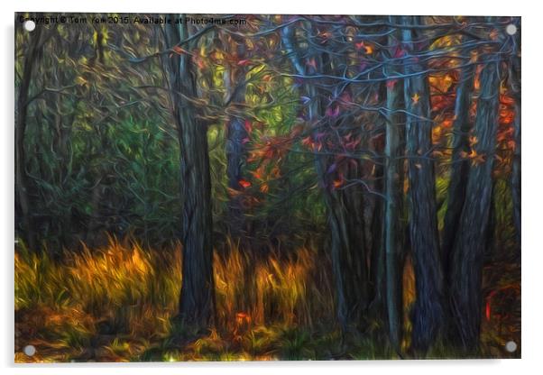 Colors Of November Acrylic by Tom York