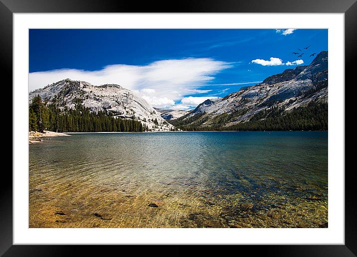  Tenaya Lake in the Tioga Pass Yosemite National P Framed Mounted Print by paul lewis