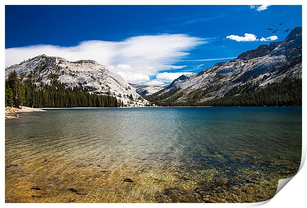  Tenaya Lake in the Tioga Pass Yosemite National P Print by paul lewis