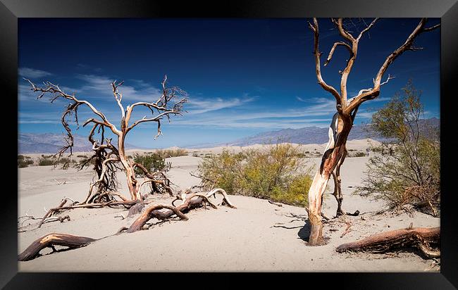  Death Valley California Framed Print by paul lewis