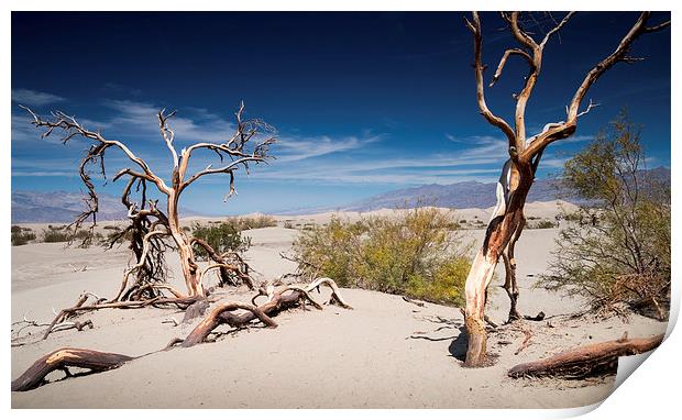  Death Valley California Print by paul lewis