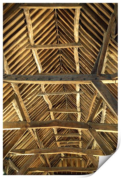 The Great Barn Roof Print by Chris Day