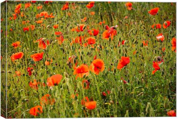  Summer Poppies Canvas Print by Michelle BAILEY