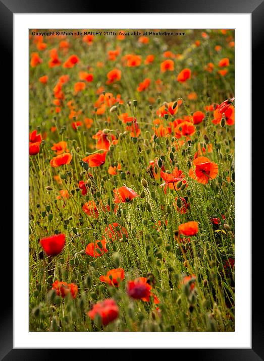  Poppy Dream Framed Mounted Print by Michelle BAILEY