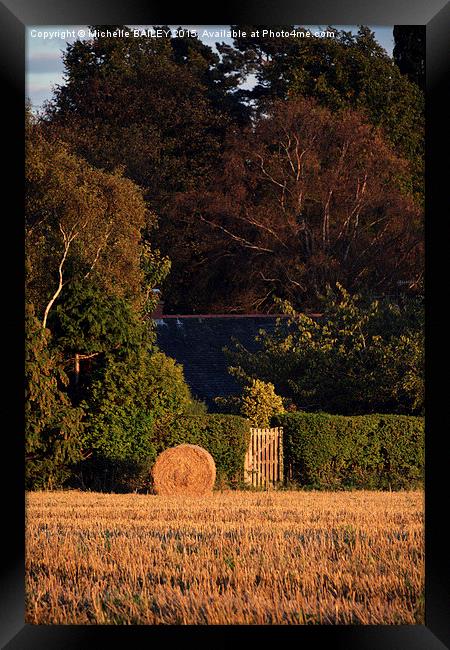  The Back Gate Framed Print by Michelle BAILEY