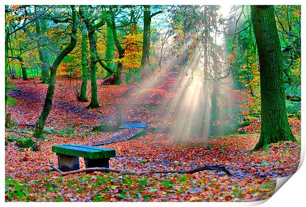  woodland sunrays Print by Derrick Fox Lomax