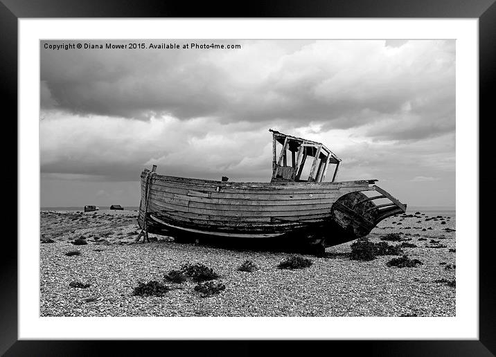 Dungeness Framed Mounted Print by Diana Mower