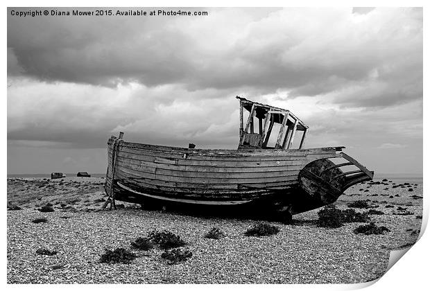  Dungeness Print by Diana Mower