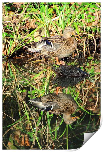  Mirror Image Print by Jane Emery