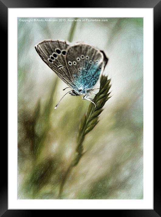 Tuscany Mountain Butterfly  Framed Mounted Print by Andy Anderson