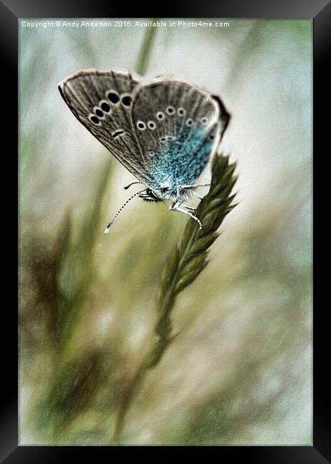 Tuscany Mountain Butterfly  Framed Print by Andy Anderson