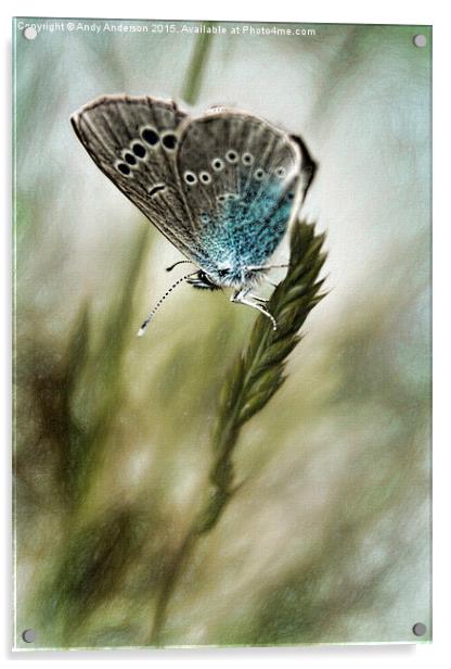 Tuscany Mountain Butterfly  Acrylic by Andy Anderson