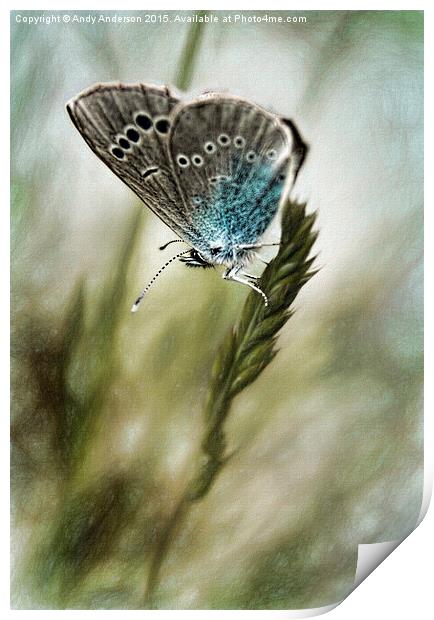 Tuscany Mountain Butterfly  Print by Andy Anderson