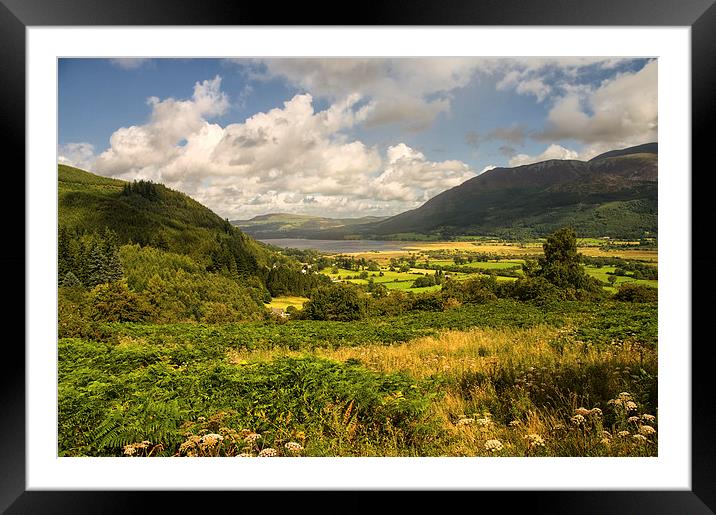 Bassenthwaite from Whinlatter Pass  Framed Mounted Print by Jacqi Elmslie