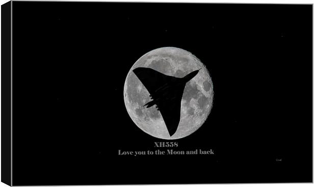  Love you to the Moon and back Canvas Print by Stephen Ward