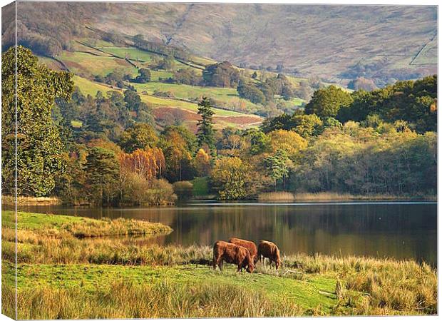  Rydal in Autumn Canvas Print by Irene Burdell