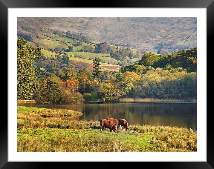 Rydal in Autumn Framed Mounted Print by Irene Burdell