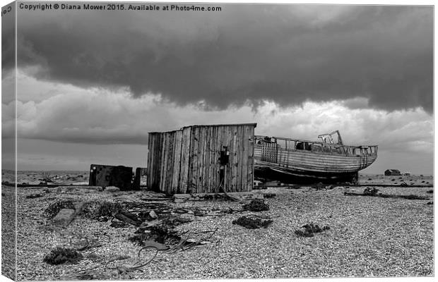  Dungeness   Kent Canvas Print by Diana Mower