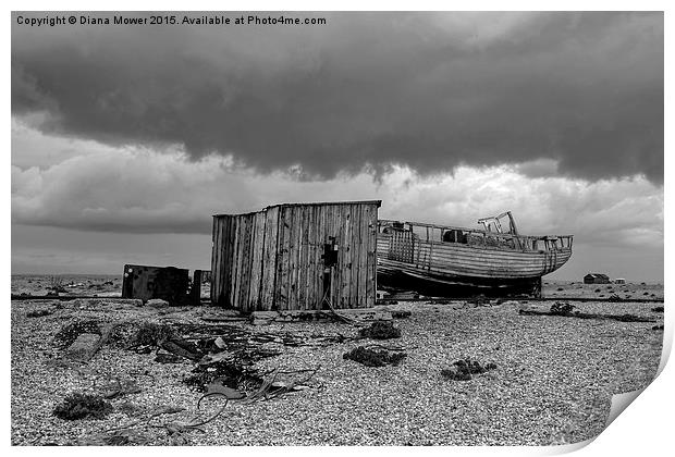  Dungeness   Kent Print by Diana Mower