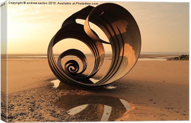 BIG SHELL Canvas Print by andrew saxton