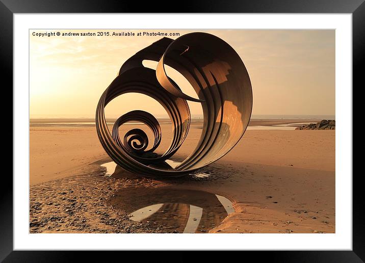 BIG SHELL Framed Mounted Print by andrew saxton