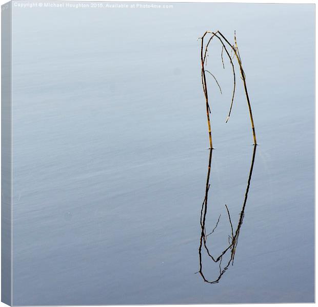  Reflected reeds Canvas Print by Michael Houghton
