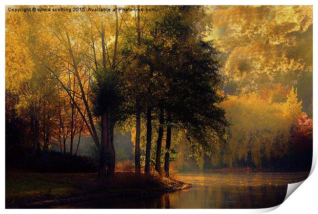  Golden Morning in Kent Print by sylvia scotting