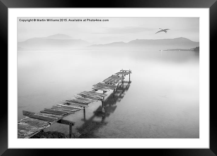 To be Free as a Bird Framed Mounted Print by Martin Williams