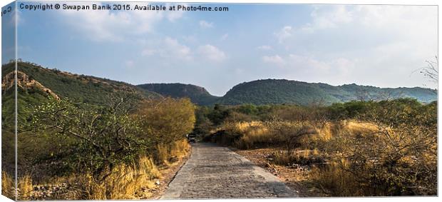 Landscape of Ranthambore Forest Canvas Print by Swapan Banik