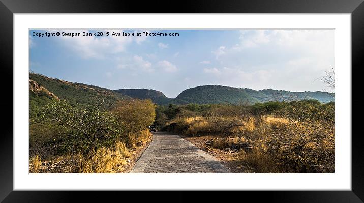 Landscape of Ranthambore Forest Framed Mounted Print by Swapan Banik