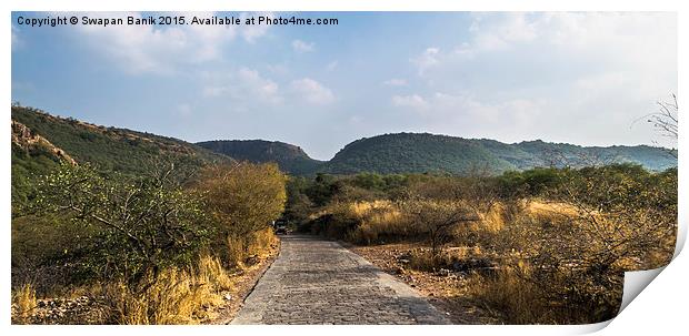 Landscape of Ranthambore Forest Print by Swapan Banik