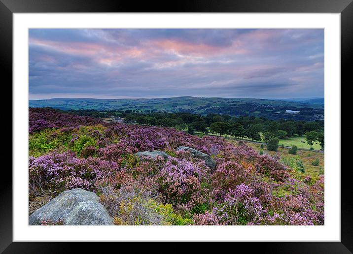 Heather Sunset Framed Mounted Print by chris smith