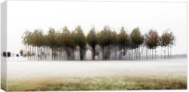 A foggy winter morning  Canvas Print by Guido Parmiggiani