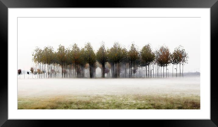 A foggy winter morning  Framed Mounted Print by Guido Parmiggiani