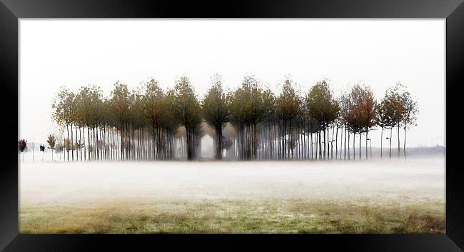 A foggy winter morning  Framed Print by Guido Parmiggiani