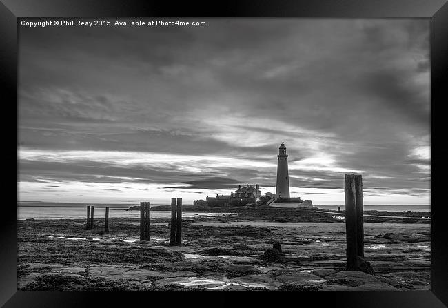  St Mary`s Lighthouse Framed Print by Phil Reay