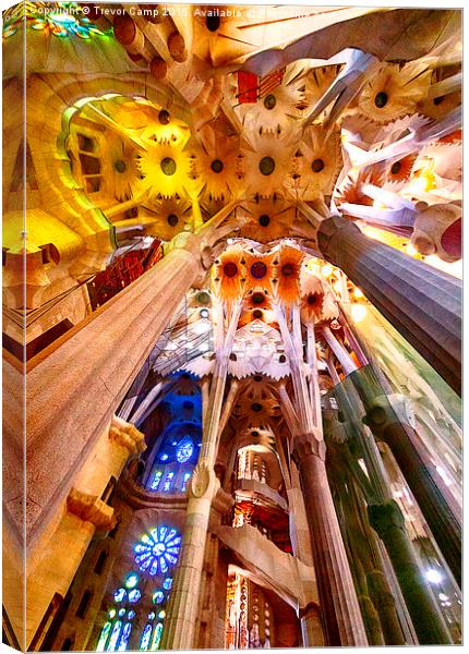 Sagrada Spectacular Canvas Print by Trevor Camp
