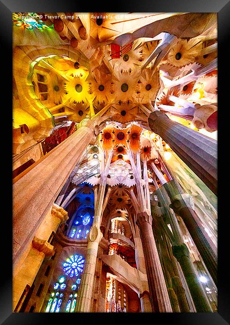 Sagrada Spectacular Framed Print by Trevor Camp