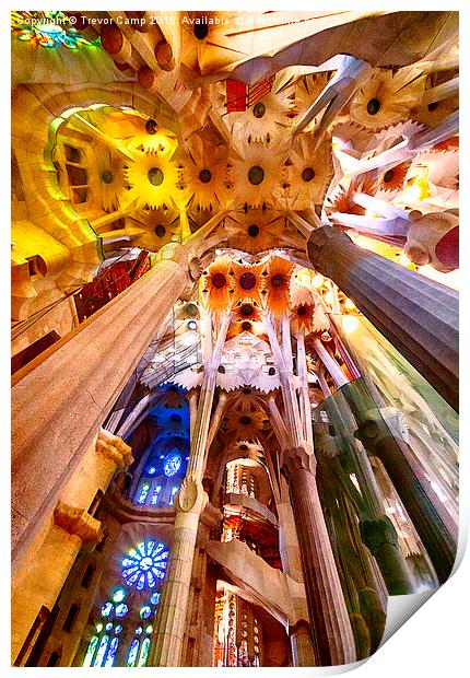 Sagrada Spectacular Print by Trevor Camp