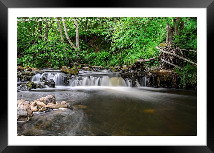  A small weir on the River Derwent Framed Mounted Print by Phil Reay