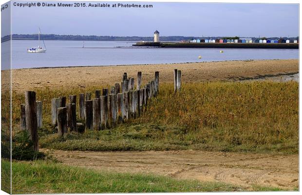 Brightlingsea from St Osyth Canvas Print by Diana Mower