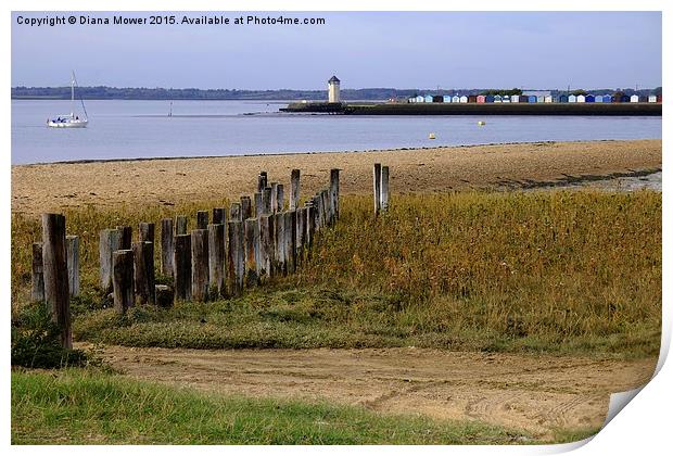  Brightlingsea from St Osyth Print by Diana Mower