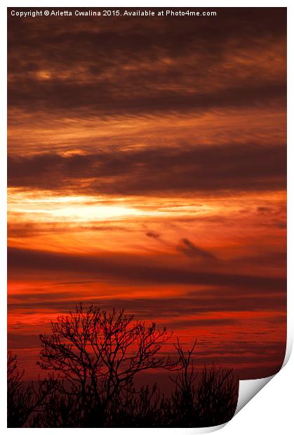 Calming red sunset sky Print by Arletta Cwalina