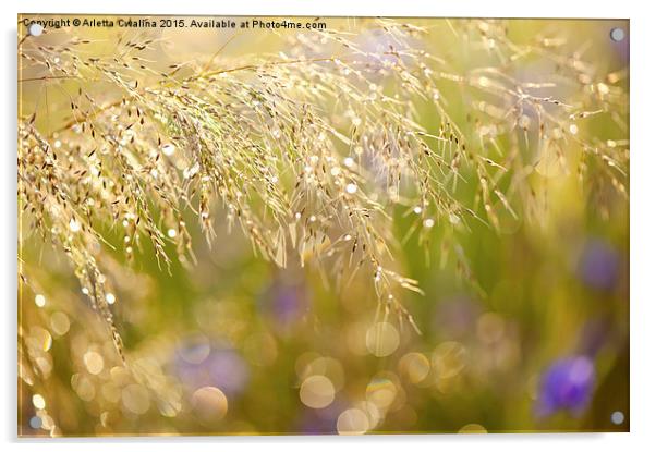 Wet grass in bokeh circles Acrylic by Arletta Cwalina