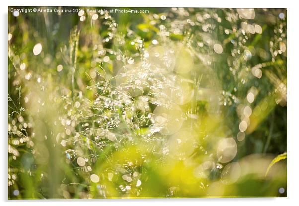Sunny grass after the rain Acrylic by Arletta Cwalina