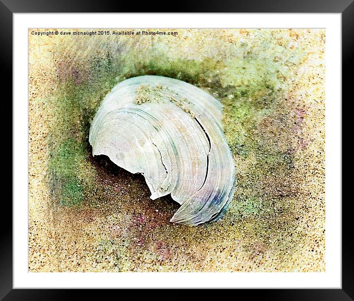  Shell in the sand Framed Mounted Print by dave mcnaught