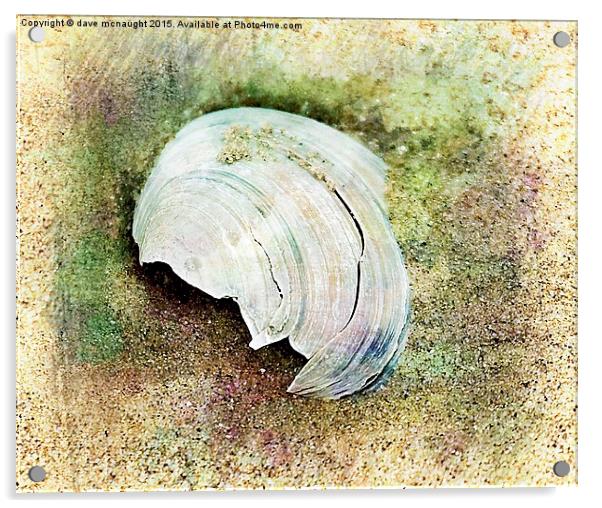  Shell in the sand Acrylic by dave mcnaught