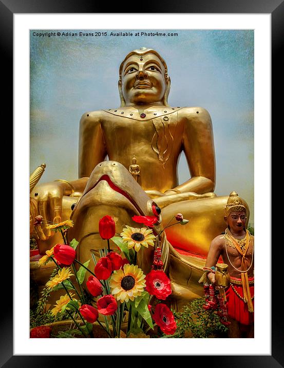 Golden Buddha  Framed Mounted Print by Adrian Evans