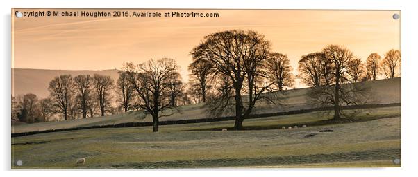  Threshfield Treeline at dusk Acrylic by Michael Houghton