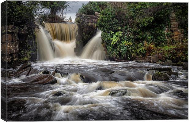  Penllergare waterfalls Swansea Canvas Print by Leighton Collins